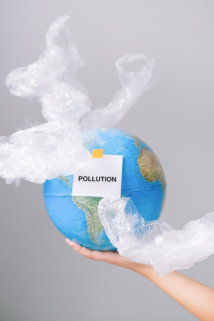 services-02 A globe wrapped in plastic symbolizes pollution and environmental concerns.