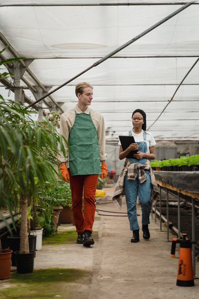 about-us Two gardeners discuss while walking in a greenhouse, surrounded by lush plants.
